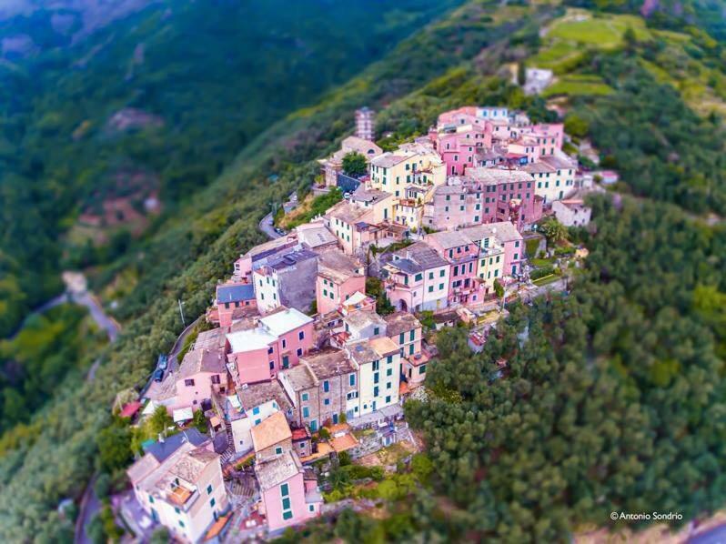 Cinqueterre - Terrace And Beautiful View Διαμέρισμα Λεβάντο Εξωτερικό φωτογραφία
